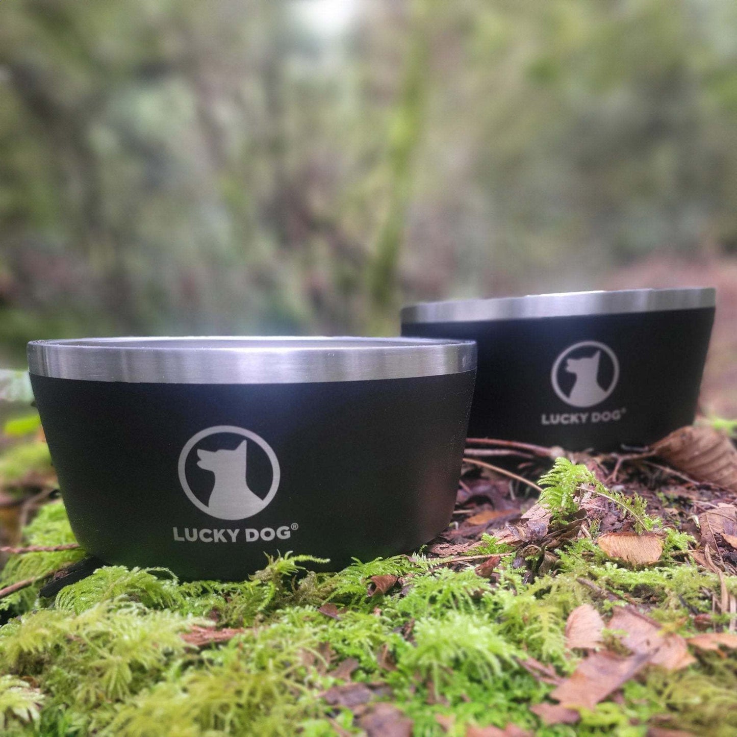 Indulge 5, Double Wall 5 Cup Stainless Steel Dog Bowl, 2-Pack