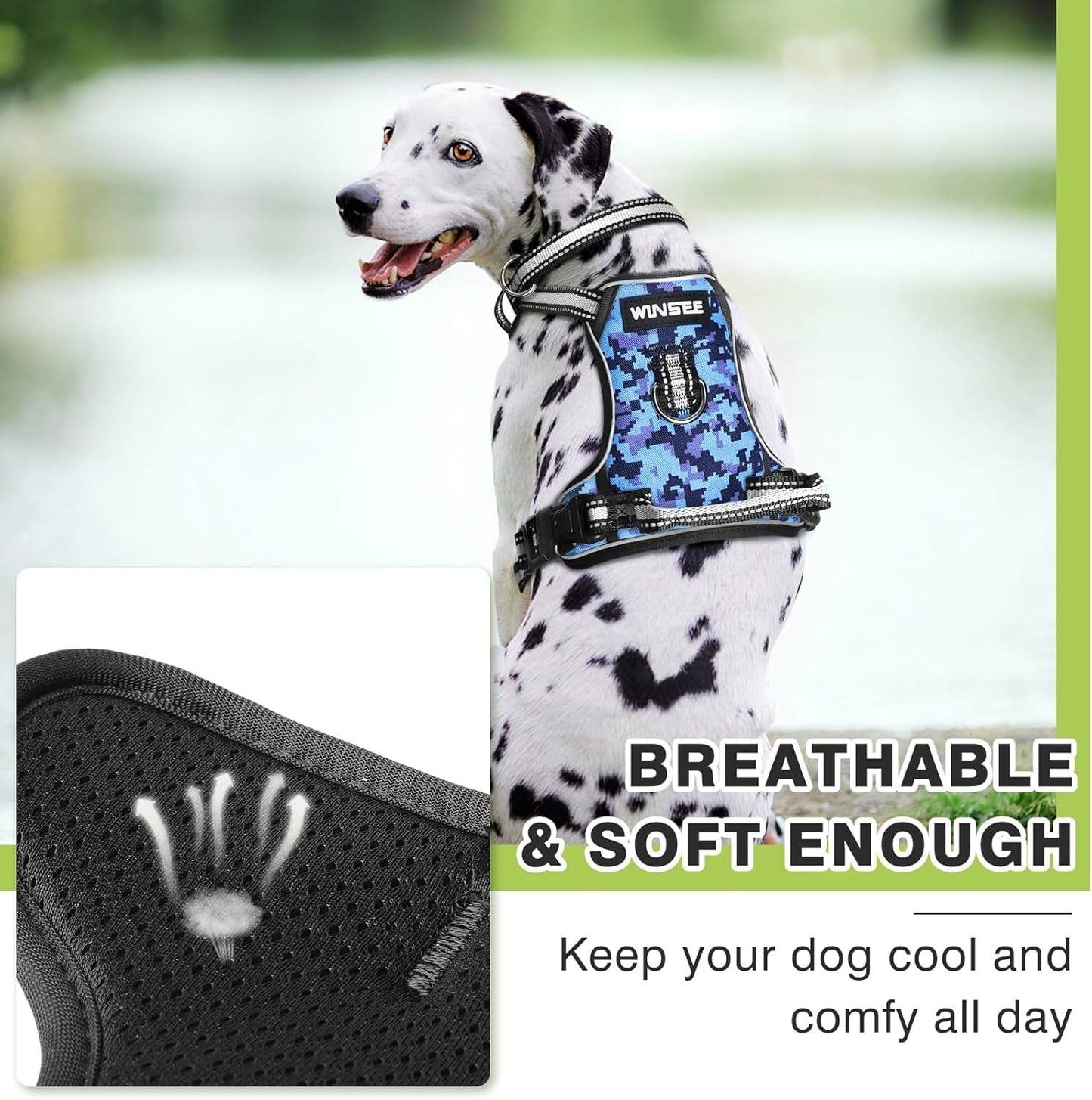 Dalmatian wearing blue camo breathable dog harness no pull with reflective straps and easy control handle outdoors