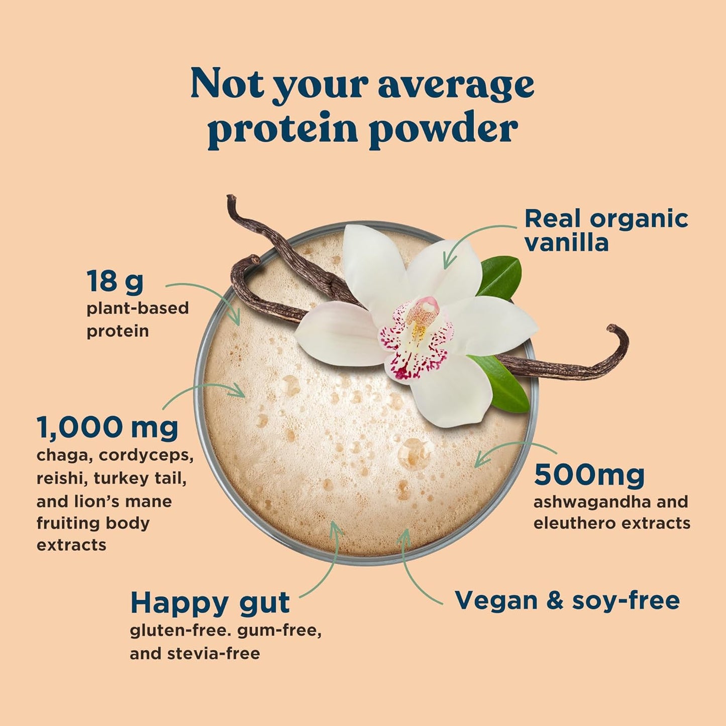 Organic Vegan Protein Powder | 18G Plant-Based Protein per Serving | Gluten Free, Dairy Free, Soy Free, Non-Gmo with No Filler Ingredients | 21.16Oz, 15 Servings | Sweet Vanilla