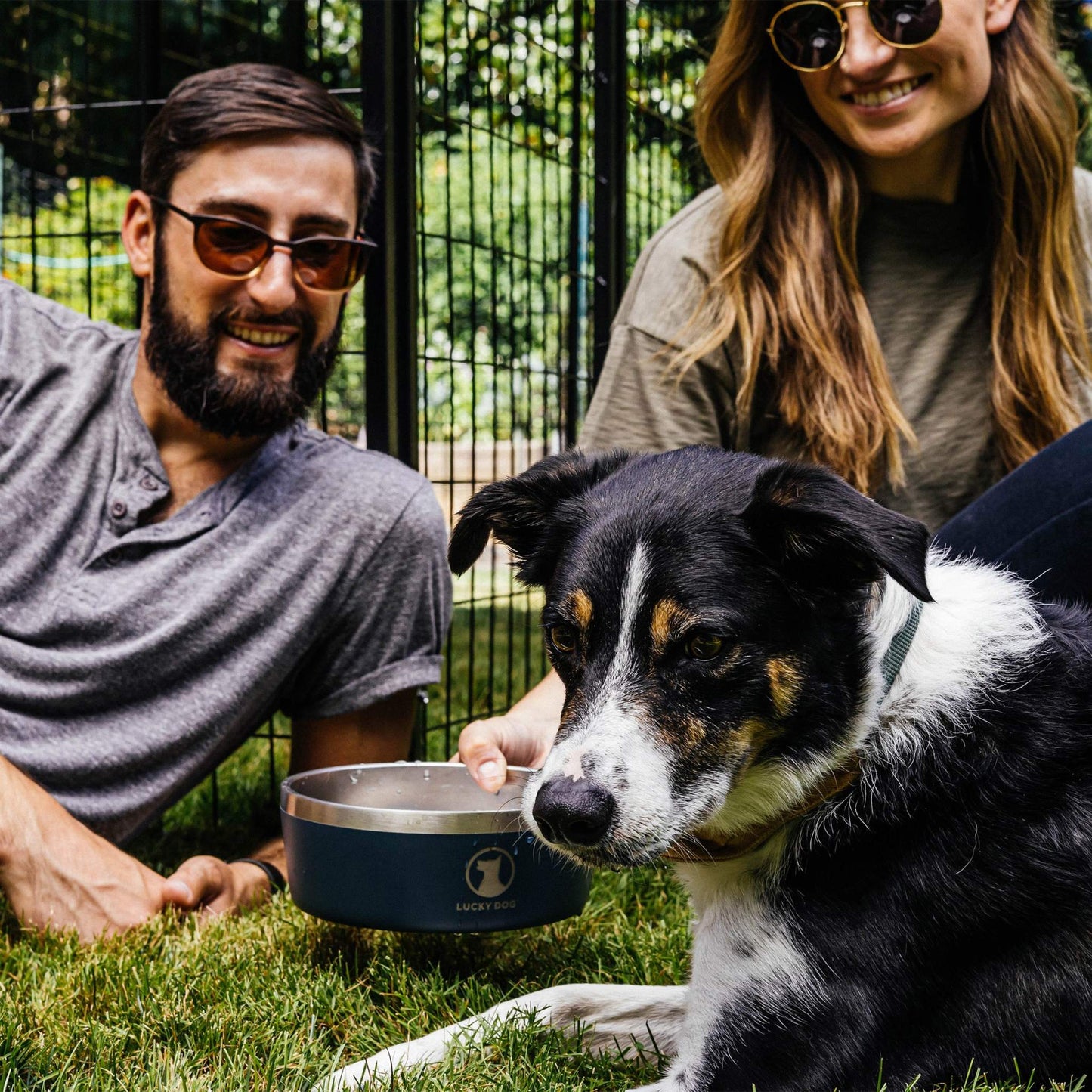 Indulge 5, Double Wall 5 Cup Stainless Steel Dog Bowl, 2-Pack