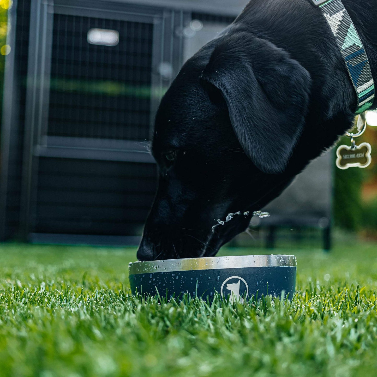 Indulge 5, Double Wall 5 Cup Stainless Steel Dog Bowl, 2-Pack