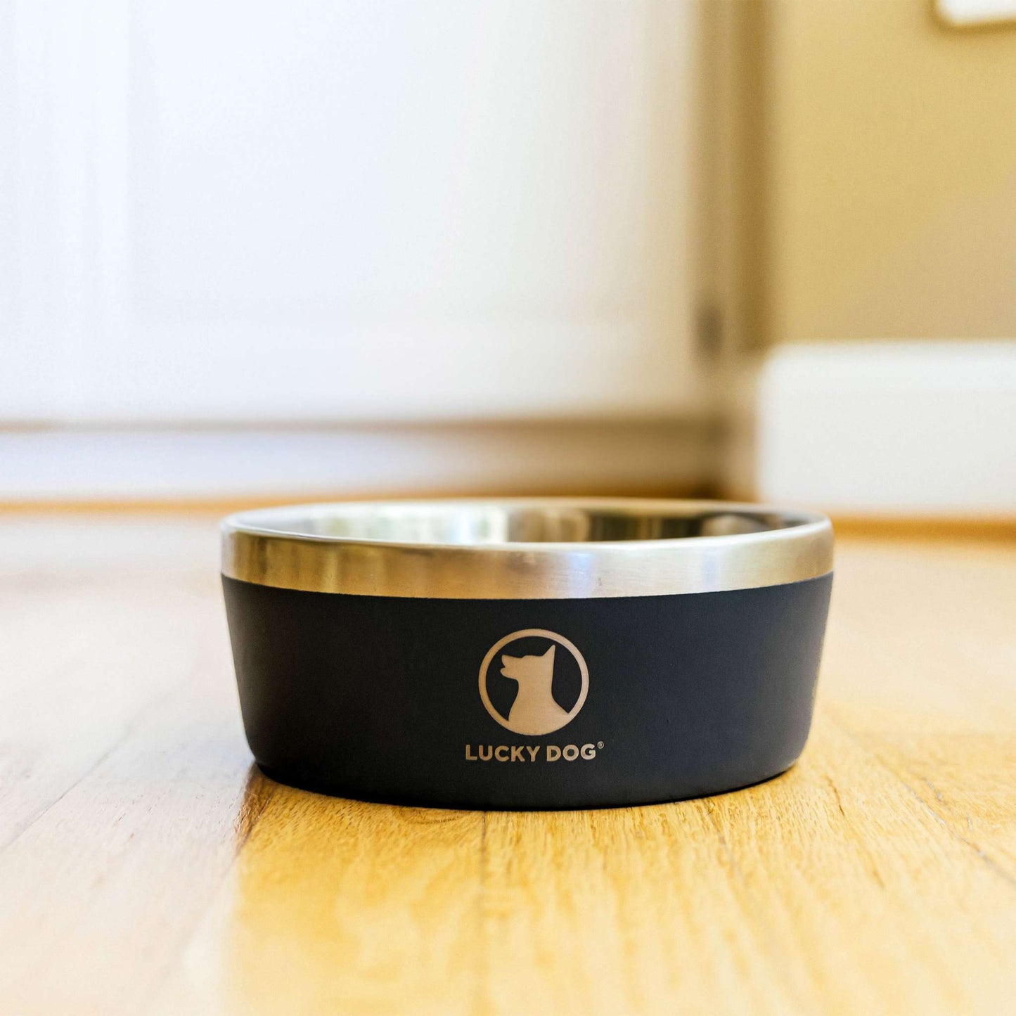 Indulge 5, Double Wall 5 Cup Stainless Steel Dog Bowl, 2-Pack