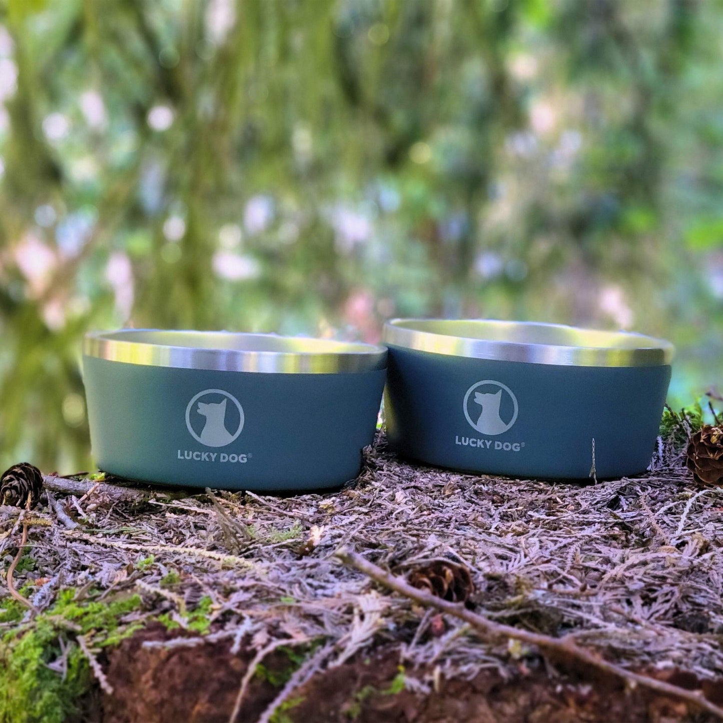 Set of two double wall 5 cup stainless steel dog bowls with non-slip base and BPA-free powder coat finish