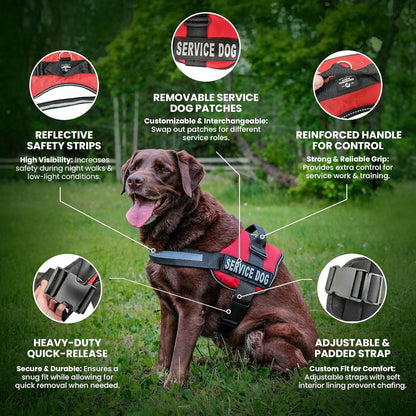Red service dog vest with reflective safety strips, removable patches, reinforced handle, heavy-duty quick-release buckle, and adjustable padded straps on brown dog.